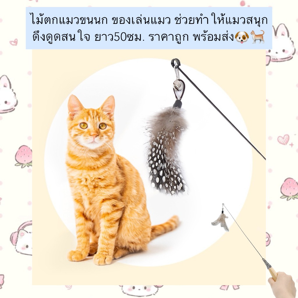 MG-590 ไม้ตกแมวขนนก ของเล่นแมวสุดสนุก ดึงดูดความสนใจ ยาว 50 ซม. ราคาถูก พร้อมส่ง 🐶🐈