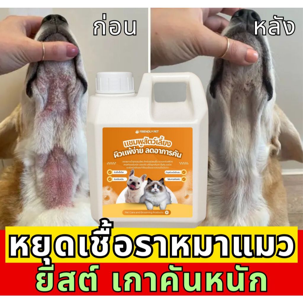 รีวิวผลิตภัณฑ์กำจัดเห็บหมัดสุนัข