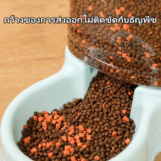 เครื่องให้อาหารแมวอัตโนมัติ ที่ให้อาหารอัตโนมัติ เครื่องให้น้ำให้อาหารสุนัขอัตโนมัติขนาดใหญ่ 3.8 ลิตร