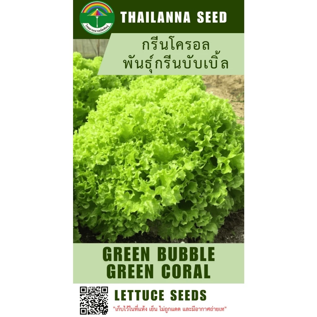 เมล็ดพันธุ์ผักสลัด กรีนโครอล พันธุ์กรีนบับเบิ้ล ( ขนาด 0.5 กรัม ) ( เมล็ดเปลือย ) รหัสสินค้า 3012