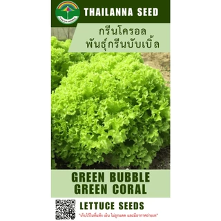 เมล็ดพันธุ์ผักสลัด กรีนโครอล พันธุ์กรีนบับเบิ้ล ( ขนาด 0.5 กรัม ) ( เมล็ดเปลือย ) รหัสสินค้า 3012