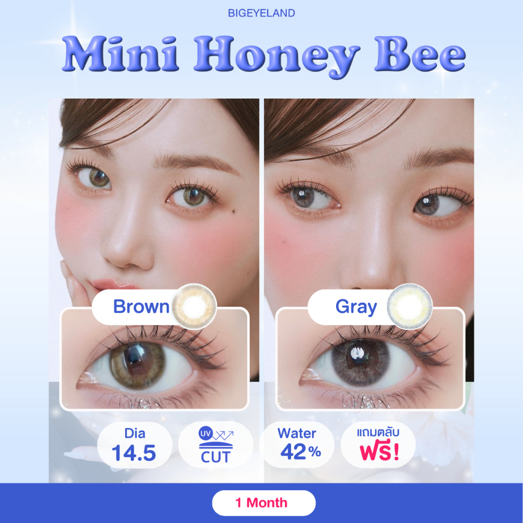 คอนแทคเลนส์ Mini Honey Bee Brown / Gray (Luxzy) ขนาดมินิ