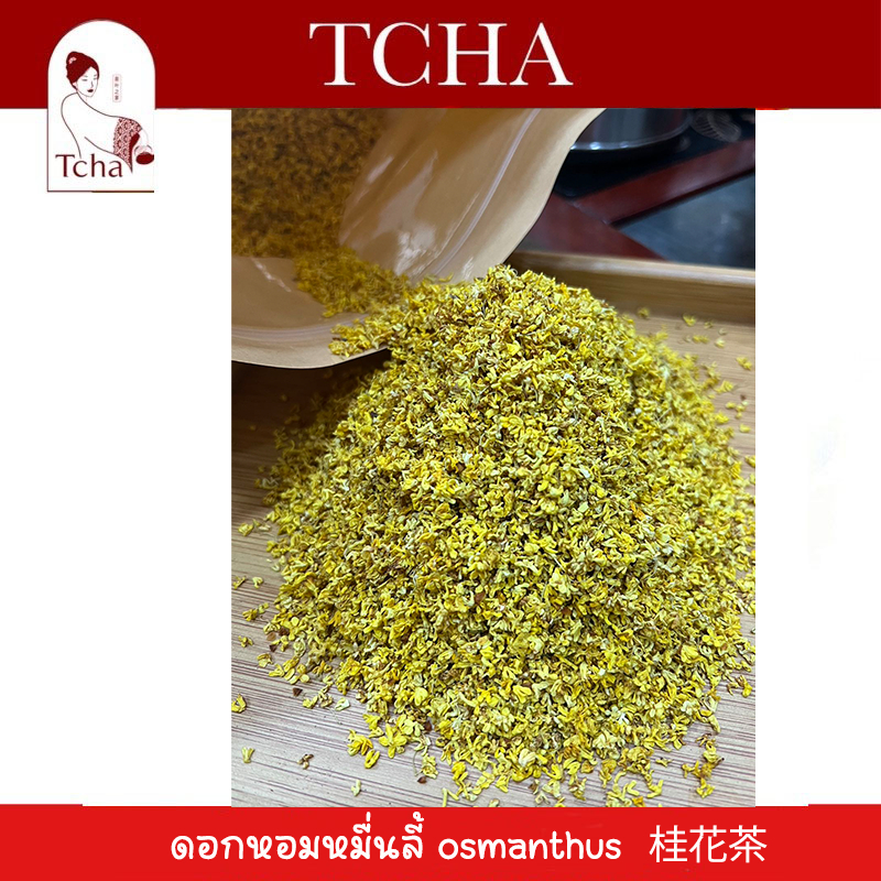 TCHA | หอมหมื่นลี้ 桂花绿茶 Osmanthus flower