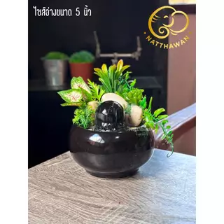 น้ำพุหินกลิ้ง หินหมุน มินิมอล สไตล์โมเดิร์น มีต้นไม้ตกแต่งให้ครบ [ไม่ต้องประกอบเอง] - น้ำพุฮวงจุ้ย