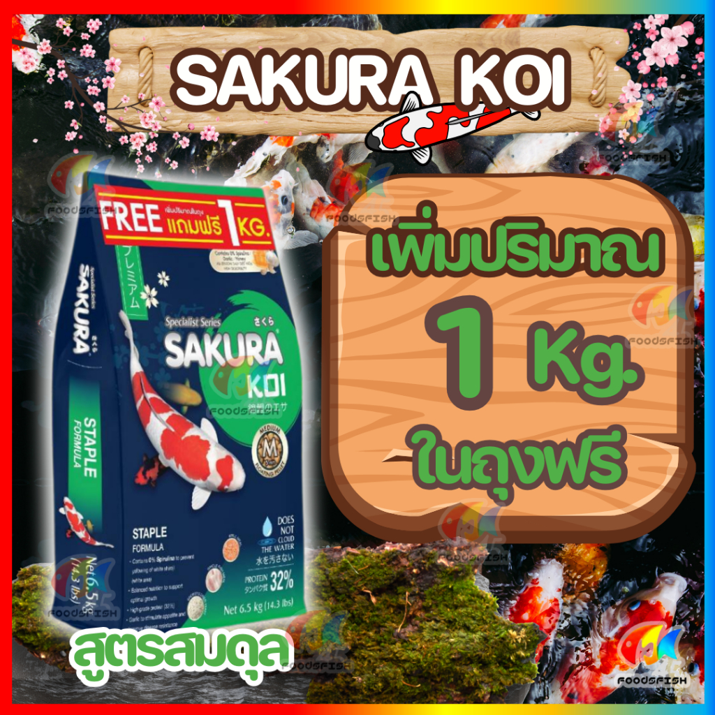 💥จัดส่งฟรี📌มี 3 โปร❗ อาหารปลาคาร์ฟซากุระโค่ย (Sakura Koi) สูตร🟢สมดุล🔵2in1/🟠เร่งโต/🌾วีทเจิม ขนาด 6.5 กก.