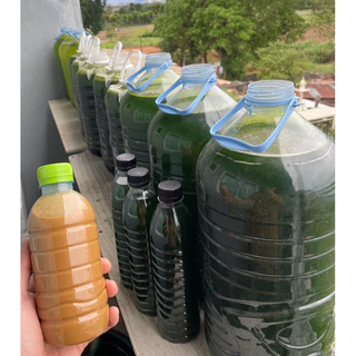 ชุดทำน้ำเขียว+ปุ๋ยน้ำสูตรสำเร็จT10ขวดเดียวจบ