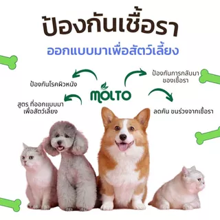 MOLTO เสริมอาหารสัตว์เลี้ยง เชื้อราแมว/สุนัข ขนร่วง คัน ป้องกันโรคผิวหนัง