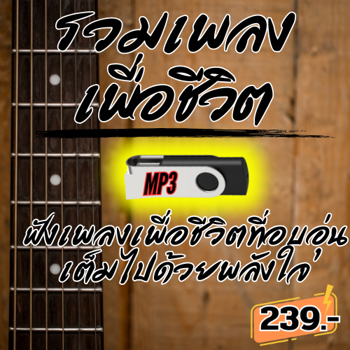 USB แฟลชไดรฟ์ - MP3 รวมเพลงเพื่อชีวิต – เพลงเพื่อชีวิตที่อบอุ่นและเต็มไปด้วยพลังใจ