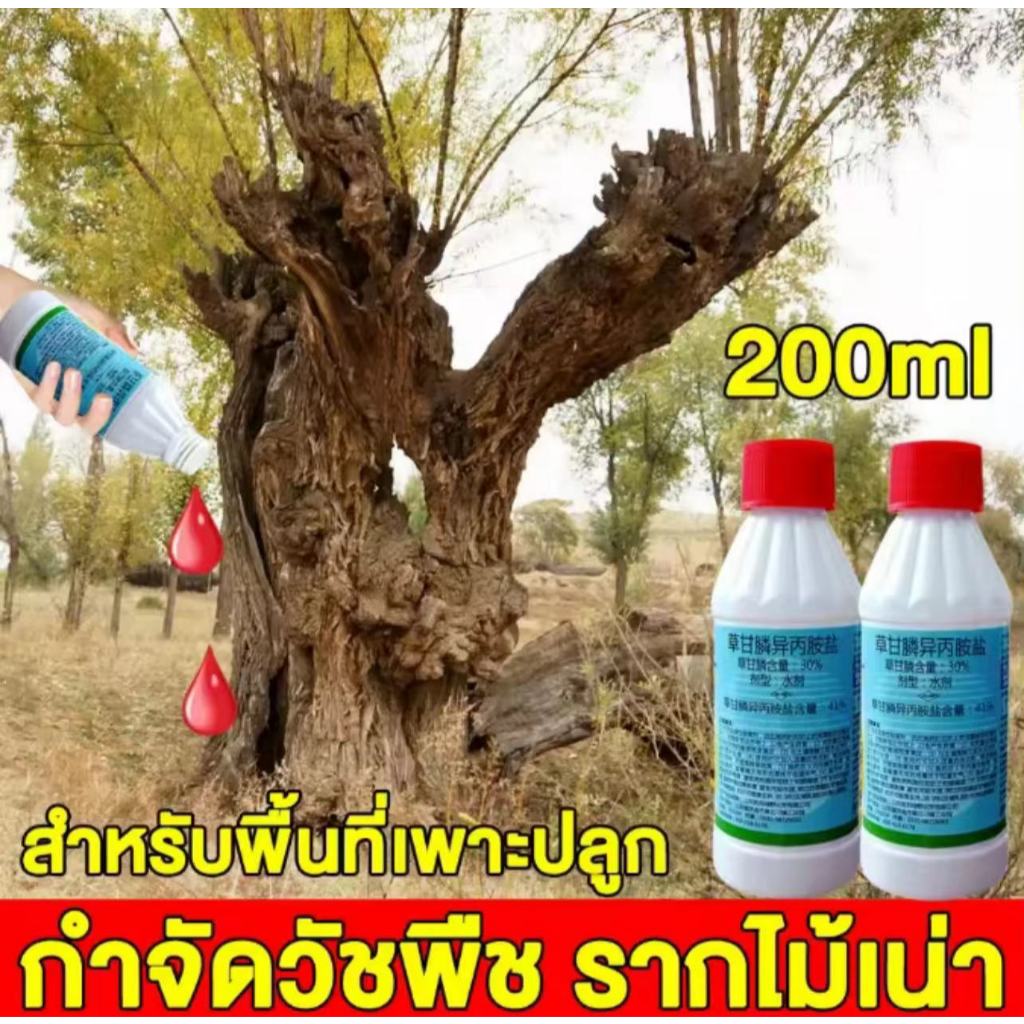 💥1หยดรากเน่า💥《200ml》 ยาฆ่าตอต้นไม้ ยาฆ่าต้นไม้ใหญ่ ยาฆ่าต้นไม้ ยาฆ่าไม้ไผ่ เข้มข้นสุด ตรงไปที่ราก รากเน่ารากตาย ยาฆ่ากอไ