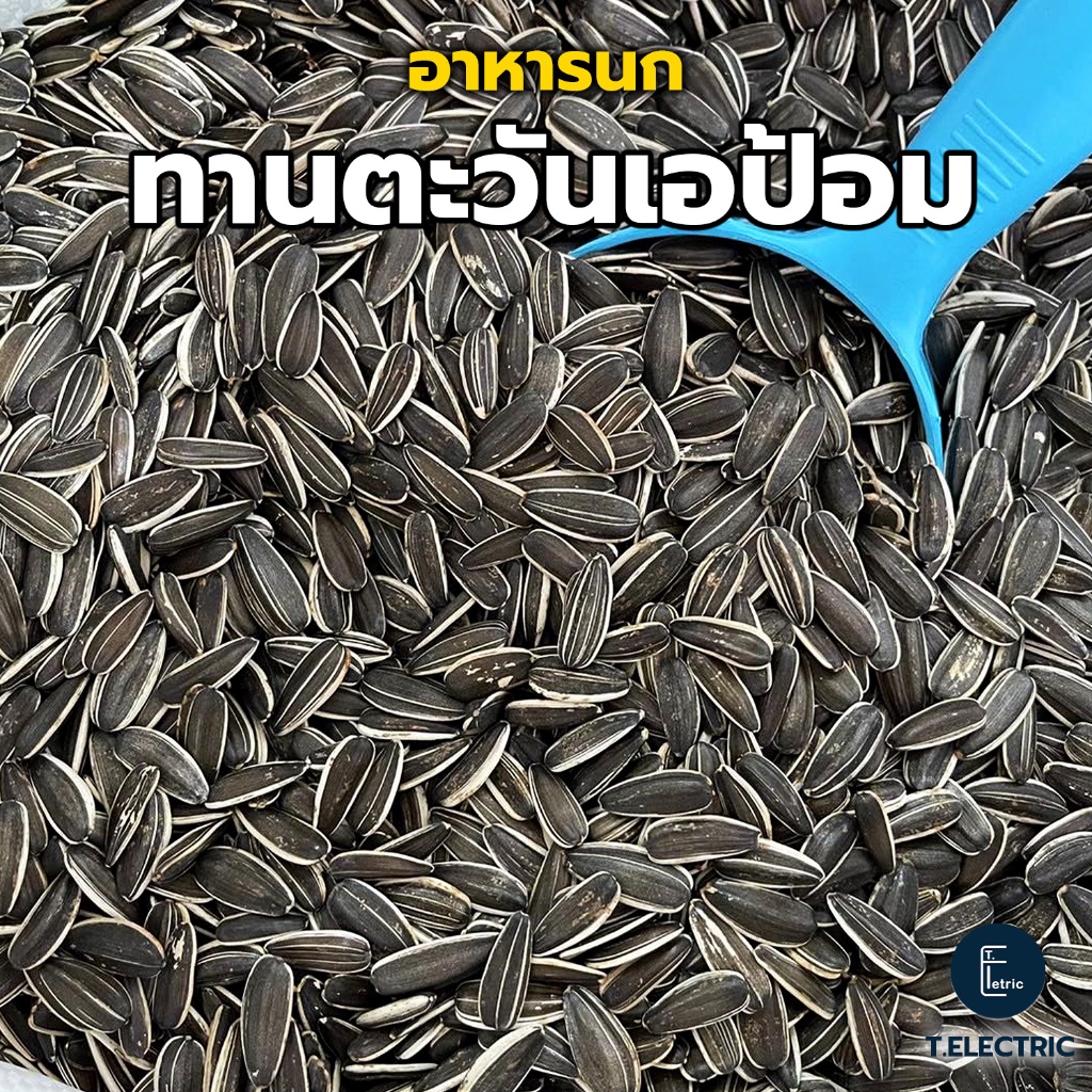 เมล็ดทานตะวันเอป้อม 500g. / 900g. เมล็ดอวบใหญ่ อาหารนกแก้ว ฝุ่นน้อย เม็ดทานตะวันAป้อม ขนมเลี้ยงนก อาหารสัตว์ฟันแทะ