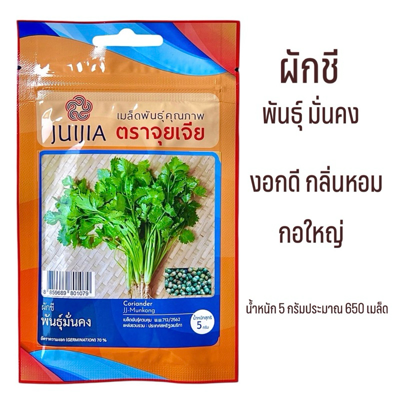 เมล็ด ผักชี กอใหญ่ พันธุ์มั่นคง (ประมาณ 400 เมล็ด)โปร 🌟
