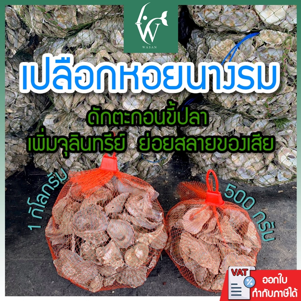 เปลือกหอยนางรมขนาด 500 g./1 kg.ใส่ถุงตาข่ายแดง เปลือกหอยกรองน้ำ