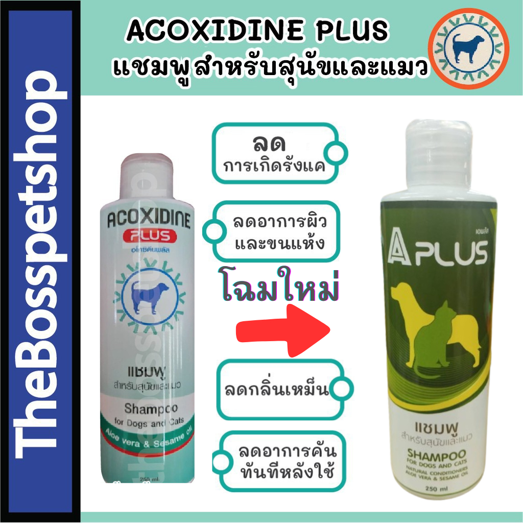 ACOXIDINE PLUS โฉมใหม่ แชมพูสำหรับสุนัขและแมว สำหรับโรคผิวหนัง ยีสต์ เชื้อรา และแบคทีเรีย 250ml ล่วงอายุ 12/12/2568
