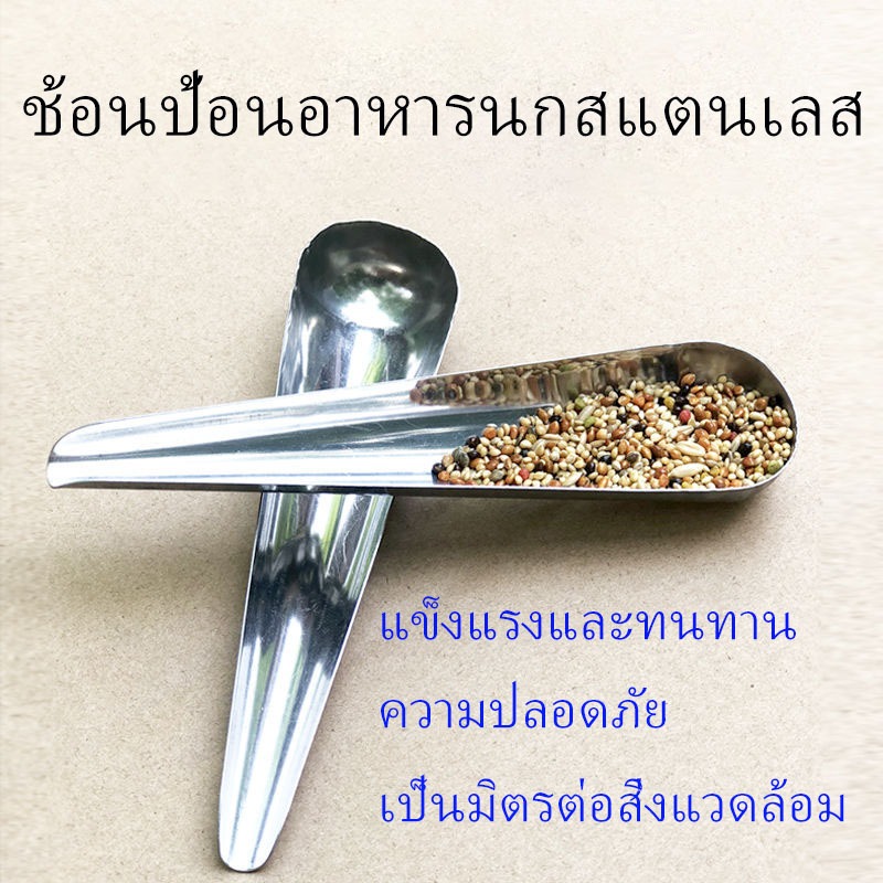 สัตว์เลี้ยงนกนกแก้วสแตนเลสอาหารเสริมช้อนนกกรงอุปกรณ์เสริมอาหารสัตว์เลี้ยงขนาดเล็กเครื่องมือ 1 ชิ้น