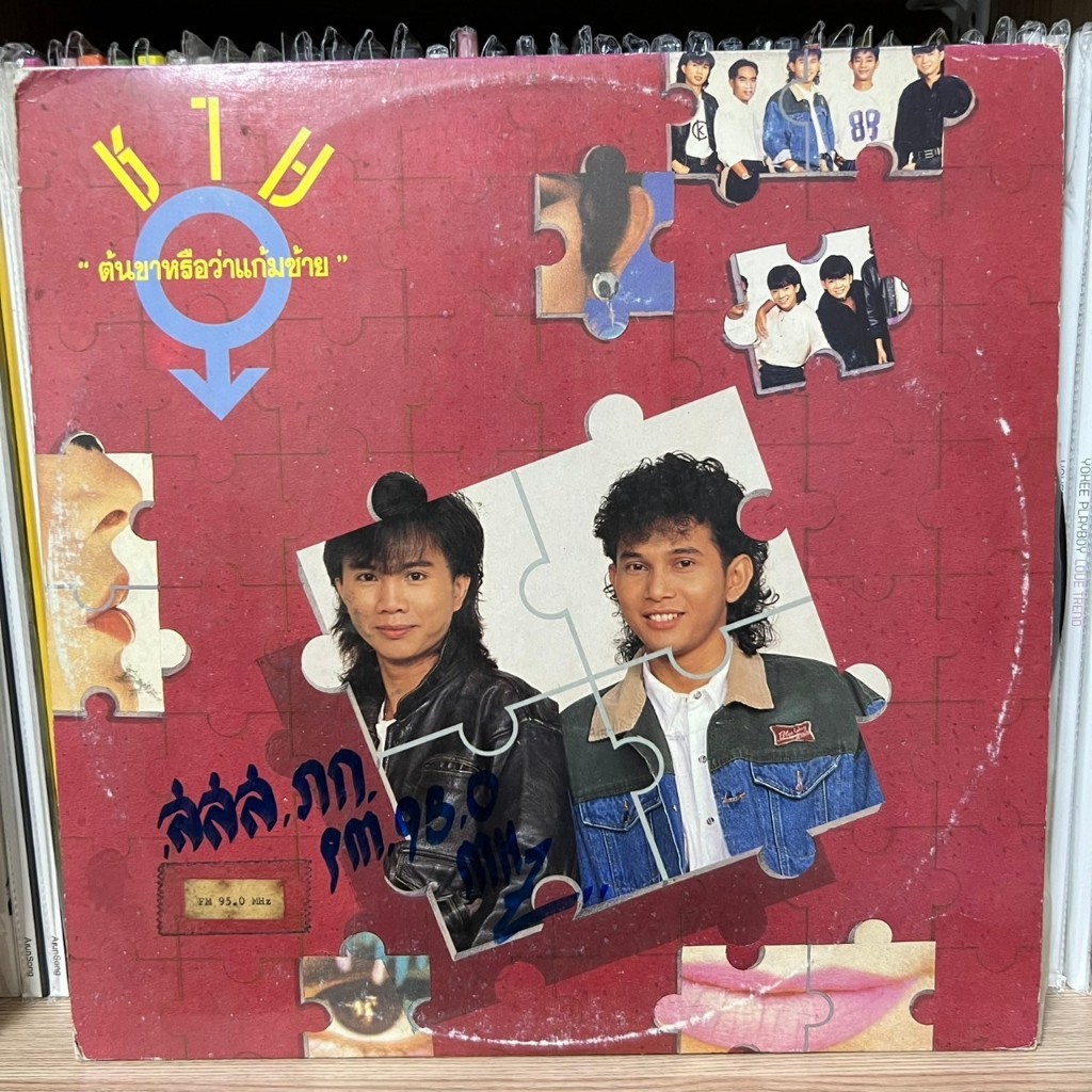 [ร้านค้าจัดส่งไว] แผ่นเสียง วงชาย : ต้นขาหรือว่าแก้มซ้าย 1LP Vinyl 12"