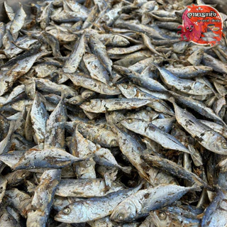 ปลาทูจิ๋ว 500กรัม ปลาทูต้ม ปลาหลังเขียว ตากแห้ง สดใหม่ หอมปลาตากแห้ง สุดคุ้ม