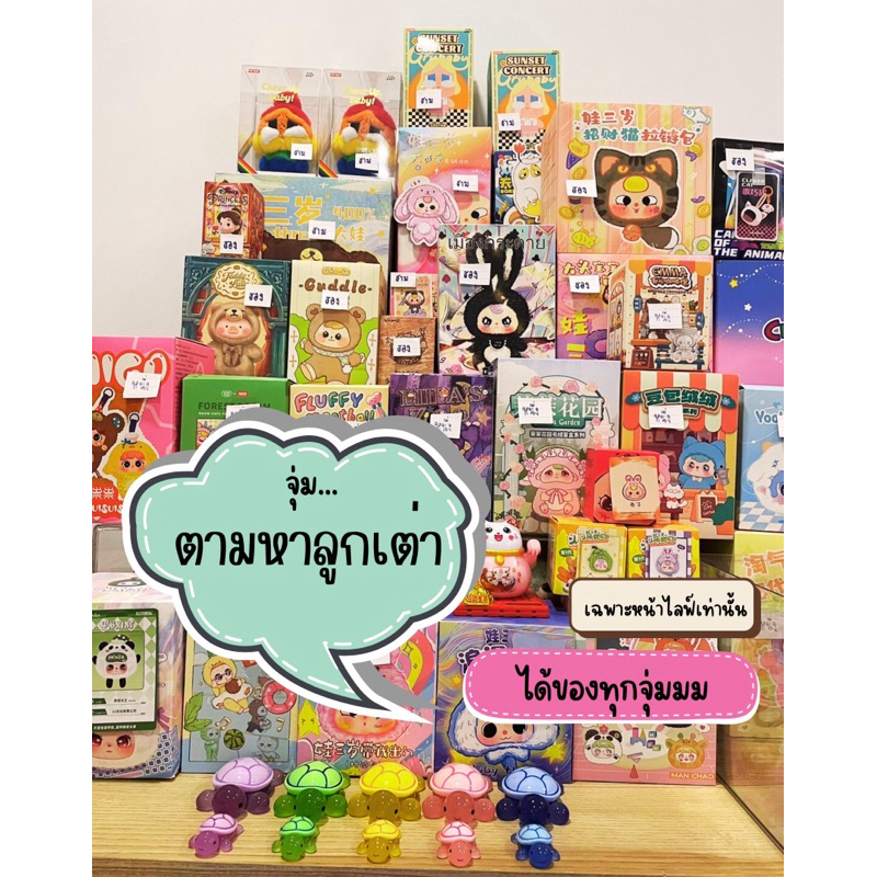 จุ่ม Art toy จุ่มตามหาลูกเต่า (ได้ของทุกจุ่ม) **มีของแถมทุกจุ่ม เลือกรับหน้าไลฟ์