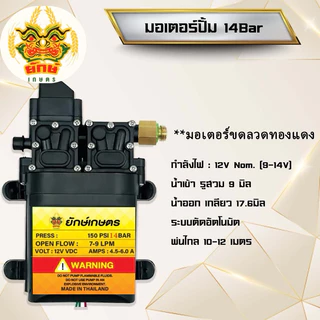 ปั้มพ่นยา แถมฟรีหัวทองเหลือง ปั้มคู่ ปั้มคู่ 14บาร์ มอเตอร์ปั้ม 12V ปรับได้14บาร์ พ่นหมอก พ่นแรงไกล