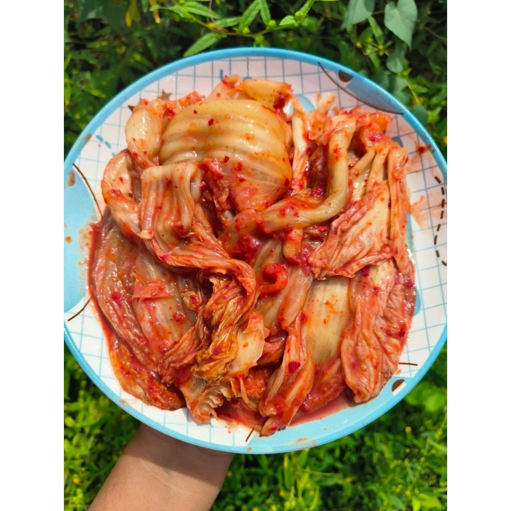 LIVE ลด 40% ส่งฟรีทั่วไทย 🔥 กิมจิ นำเข้าจากเกาหลี