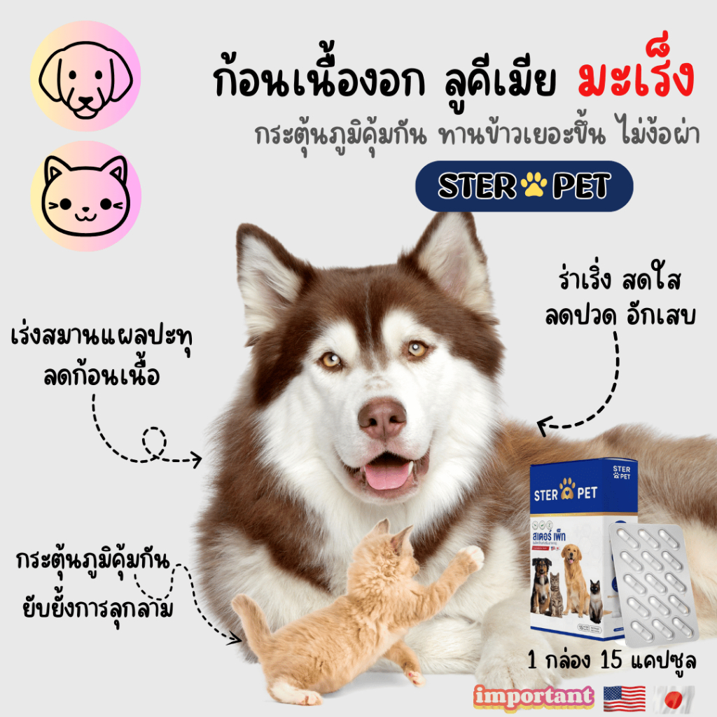 STER PET (สเตอร์เพ็ท) สารอาหารดูแล ต้านเนื้องอก แผลปะทุ และป้องกันมะเร็ง <\1 กล่อง 15 แคปซูล />