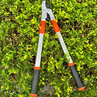 SK5 กรรไกรตัดกิ่งไม้ ยืดหดได้ ด้ามยาว ตัดกิ่งไม้สูง Cutting Branches pruning shears กรรไกรแต่งกิ่ง solo MAYILON กรรไกรตั
