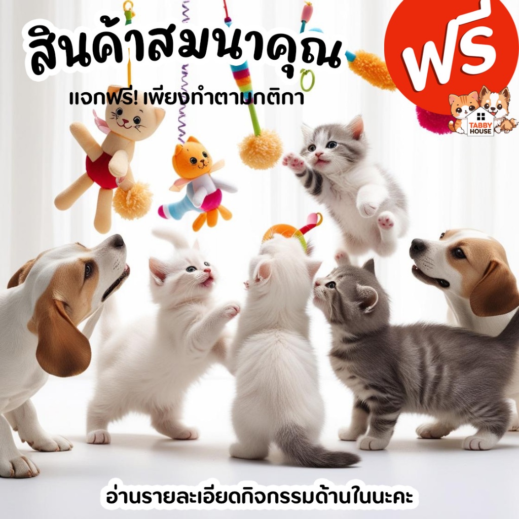 สินค้าสมนาคุณ (ไม่ได้จำหน่าย) ฟรี เมื่อซื้อสินค้าตามเงื่อนไข คลิกเพื่อดูในรายละเอียดโปรโมชั่น ของแถม