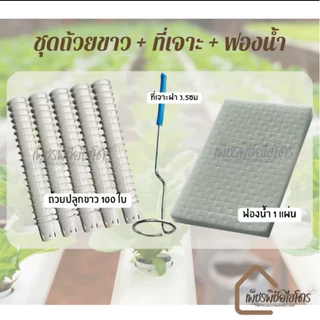 ถ้วยปลูกขาวไฮโดรโปนิกส์พร้อมที่เจาะ1 ฟองน้ำ1 ที่คีบ1