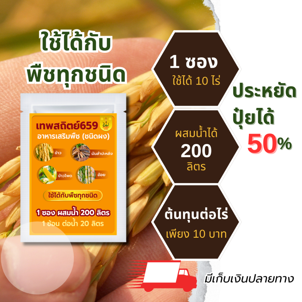 ผงดำเทพสถิตย์ ขนาด 2 กรัม ปุ๋ยทางใบ ใช้ได้ 10 ไร่ อาหารเสริมพืชฉีดทางใบ อมิโนพืช เร่งโต เร่งใบ