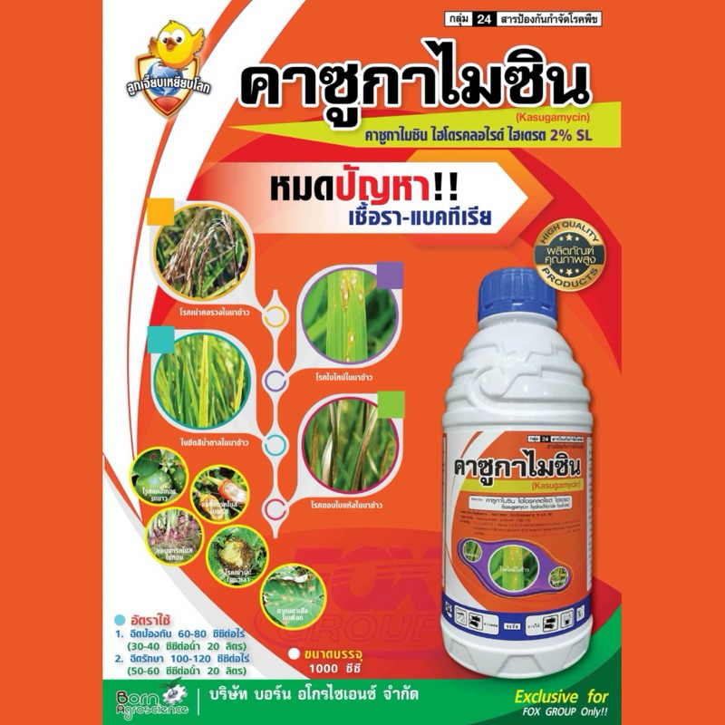 คาซูกาไมซิน (สารคาซูกาไมซิน ไฮโดรคลอไรด์ ไฮเดรต) ได้ทั้งเชื้อรา และแบคทีเรียในขวดเดียว