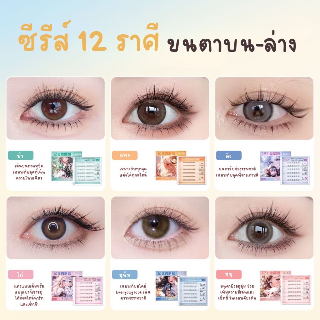 [🇹🇭สินค้าพร้อมส่ง]ซีรีส์ 12 ราศี ขนตาปลอม 3D ไม่ต้องใช้กาว มีกาวในตัว ขยายตา ติดทน ติดง่าย ใช้ซ้ำได้ มี30/36 ช่อ ต่อกล่อ รูปที่ 2