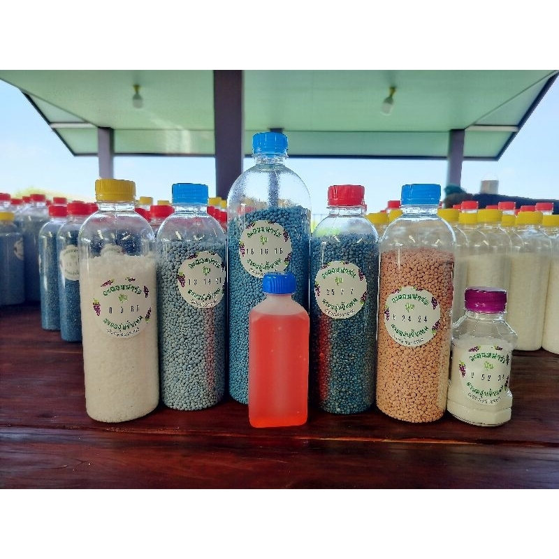 ปุ๋ยองุ่นครบเซ็ต ตั้งแต่ปลูกจนเก็บผลผลิต แถมฟรีสารเปิดตาดอก 100 cc