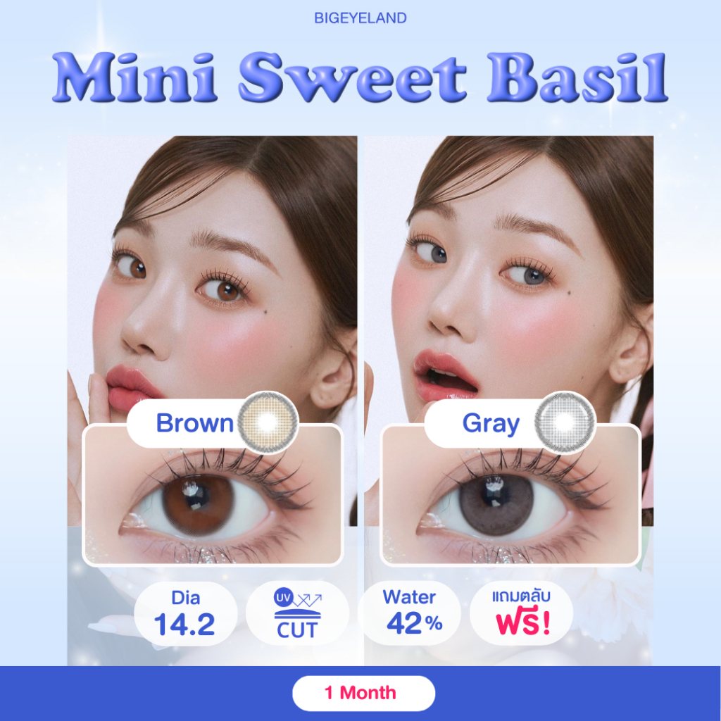 คอนแทคเลนส์ Mini Sweet Basil Gray / Brown (Lovely) ขนาดมินิ