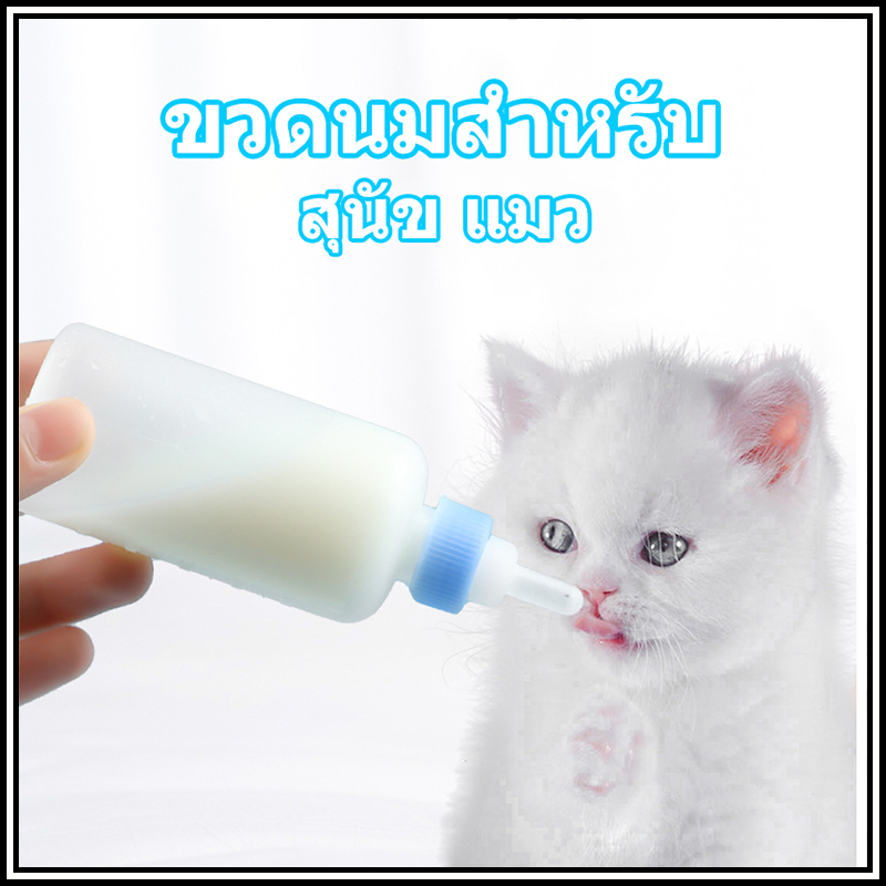 ขวดนม สำหรับ สัตว์เลี้ยง สุนัข หมา ลูกแมว สำหรับป้อน
