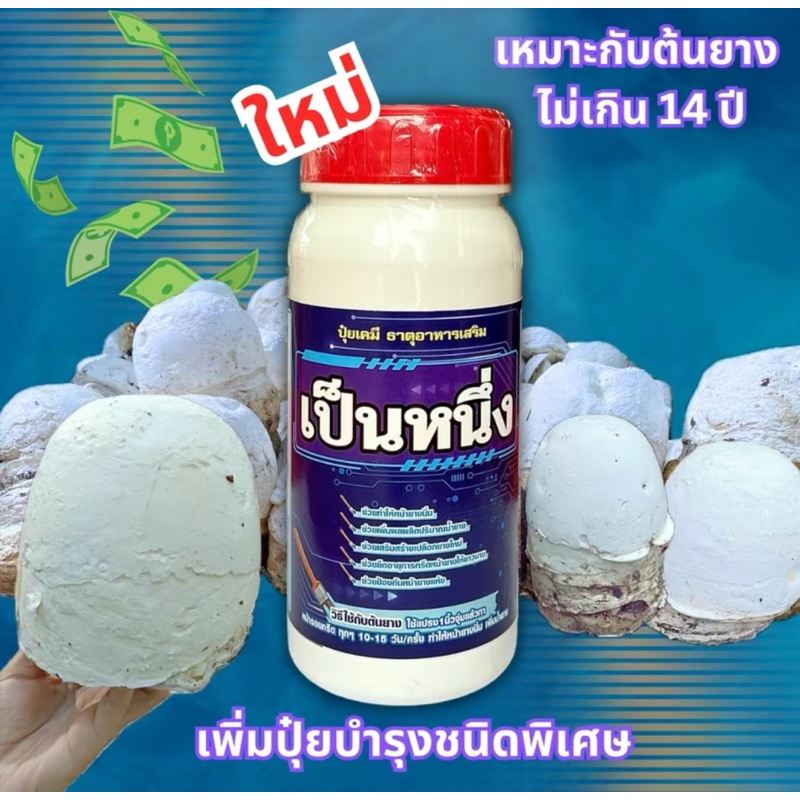 เป็นหนึ่ง(ฝาแดง)ยางอายุ 10-14ปึขึ้นไป น้ำยางออกดี ออกเยอะหน้ายางนิ่มกรีดง่าย แถมฟรีแปรงทาถ