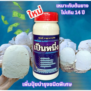 เป็นหนึ่ง(ฝาแดง)ยางอายุ 10-14ปึขึ้นไป น้ำยางออกดี ออกเยอะหน้…