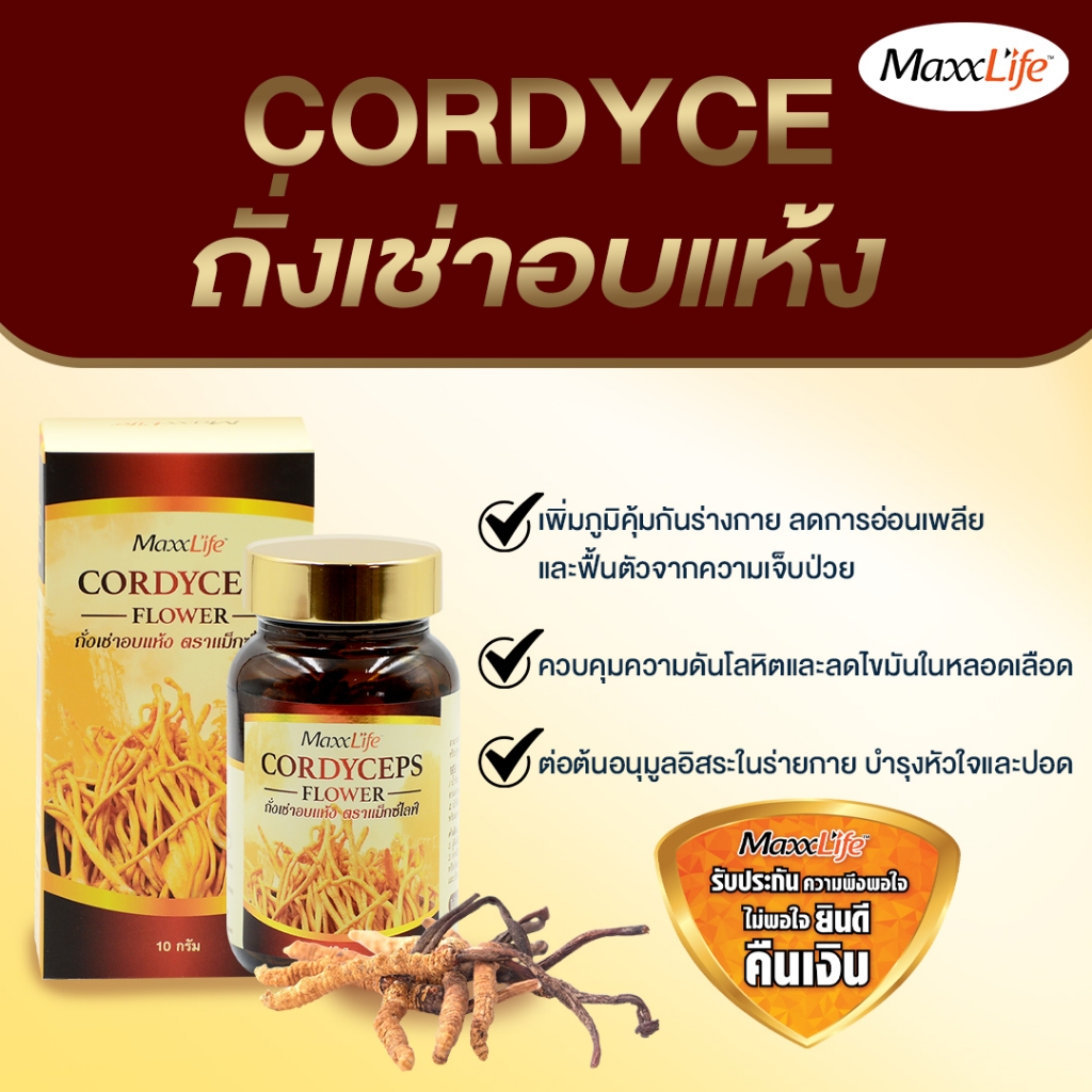 Maxxlife Cordyceps Flower ดอกเห็ดถั่งเช่า สินค้าแถมไม่จำหน่าย