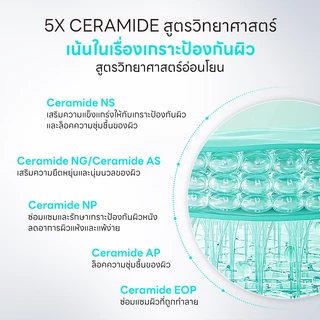 PAPA FEEL 5X Ceramide Serum ลดรอยแดงและบวม เสริมภูมิคุ้มกันให้ผิว ฟื้นฟูเกราะป้องกันผิว Skin Barrier Repair 20ml