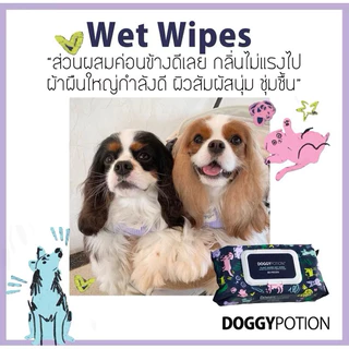 PACK OF 6 Doggy Potion Biodegradable Wet Wipe ทิชชู่เปียกย่อยสลายได้ 80 แผ่น x 6ห่อ