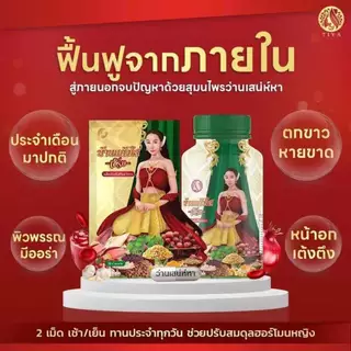 💥พร้อมส่ง❗️ว่านชักมดลูก ว่านเสน่ห์หา บ้านแก้วใส❗️ ว่านบ้านแก้วใส ว่านสเน่ห์หา