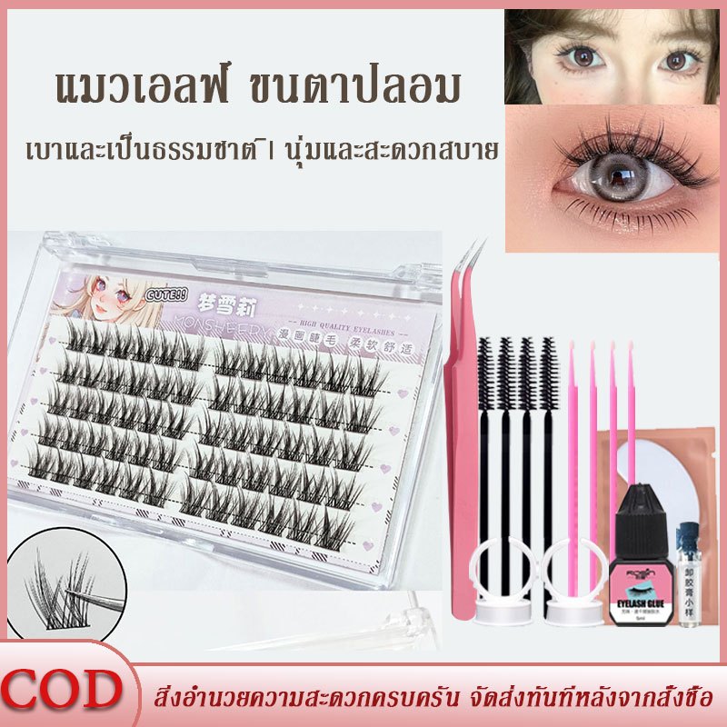 ขนตาปลอม ขนตาปลอมหนา ชุดขนตาขยาย รากผอมเพรียว เบาและเป็นธรรมชาติ นุ่มและสะดวกสบาย เหมาะสำหรับผู้เริ่มต้น