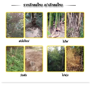 ยาฆ่าตอต้นไม้ ยาฆ่าหญ้ 500g ไม่ทำลายดิน รวดเร็ว ทนนาน ผงกำจัดต้นไม้ ผงกำจัดกอไผ่ ยาฆ่าตอไม้ ยาฆ่าไม้ไผ่ ยาฆ่าต้นไม้ใหญ่