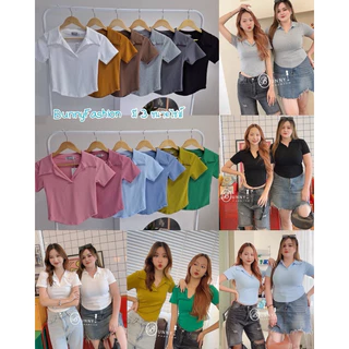 A149 BunnyFashion เสื้อคอปกชายโค้ง มี3 ขนาดไซส์