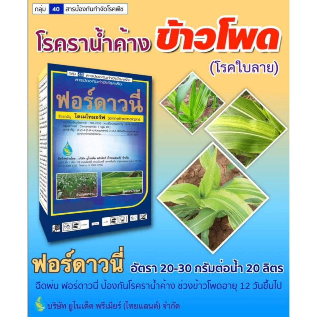 ไดเมโทมอร์ฟ ฟอร์ดาวนี่ ขนาด 250 กรัม สารป้องกันกำจัดโรคพืช โรคราน้ำค้าง โรคใบลาย