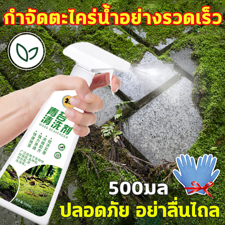 สูตรเข้มข้น น้ำยากำจัดตะไคร่น้ำ 500มล ผงกำจัดตะไคร่น้ำ การเจาะที่มีประสิทธิภาพ กระเบื้องอิฐ ผนังชื้น ไม่ต้องขัด