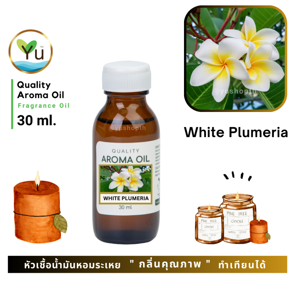 🌟 30-60 ml.🌟 กลิ่น White Plumeria ดอกลีลาวดีสีขาว 🌟 หัวเชื้อ น้ำมันหอมระเหย กลิ่นคุณภาพ | Quality Aroma Oil
