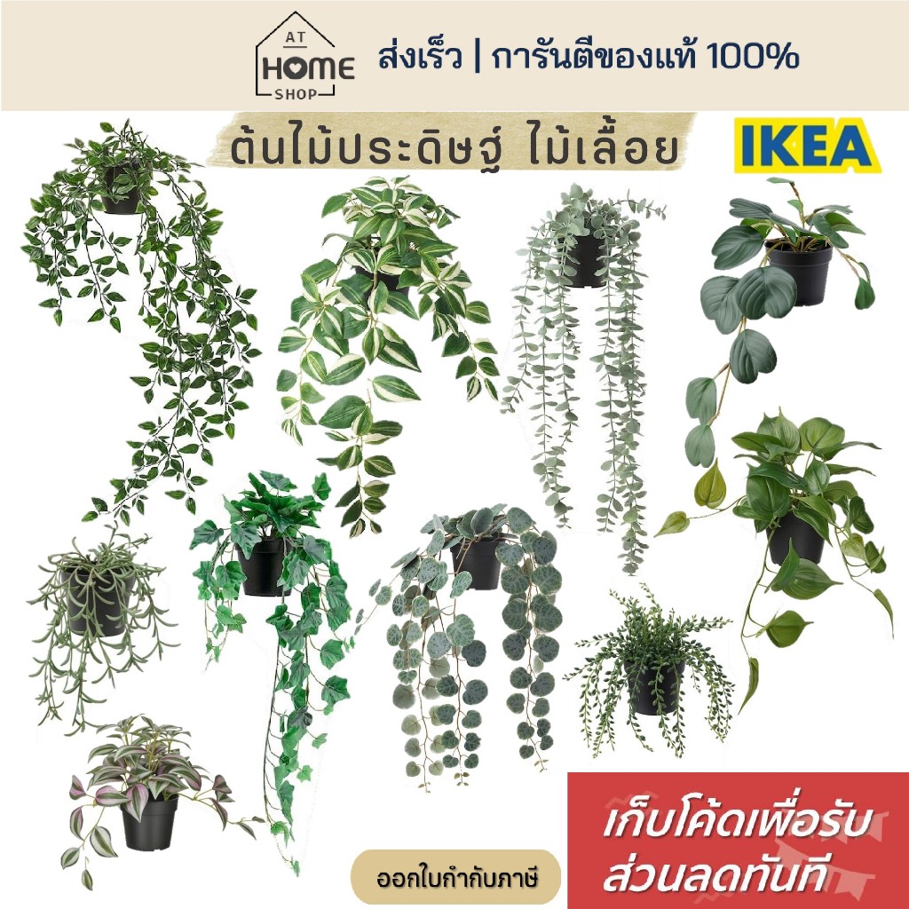 [เก็บโค้ดก่อนสั่ง] ส่งเร็ว อิเกีย แท้ ต้นไม้ปลอม พร้อมกระถาง ไม้เลื้อย พลูด่าง พลูด่างปลอม ต้นไม้ IKEA