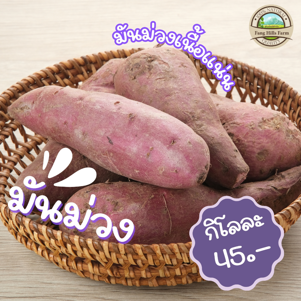 ค่าส่งถูก!! มันม่วง มันม่วงญี่ปุ่นเนื้อสีม่วง ปลูกในไทย [สินค้าเกษตรชุมชน] มีการรับประกันสินค้าทั่วประเทศ