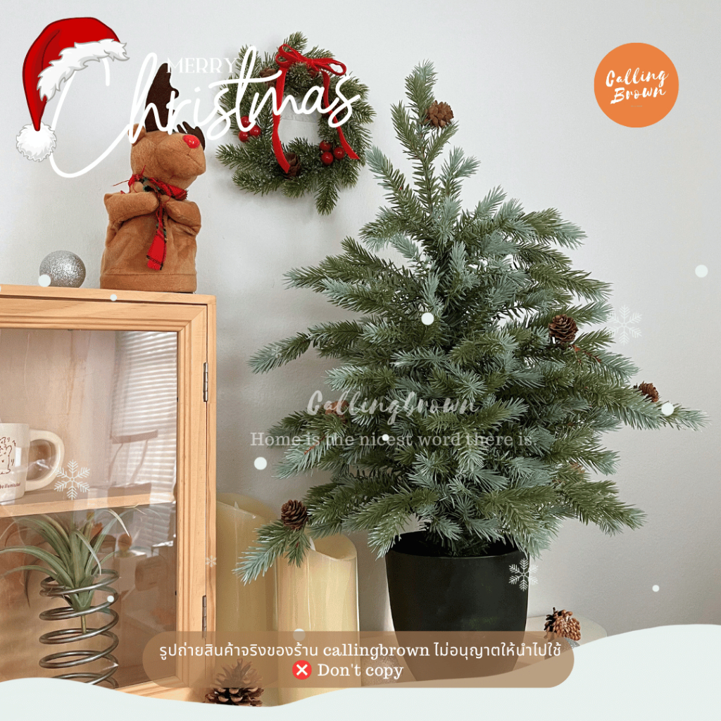 callingbrown [ พร้อมส่ง ] ต้นคริสมาสต์ 60cm ตกแต่งคริสมาสต์ ต้นสน
