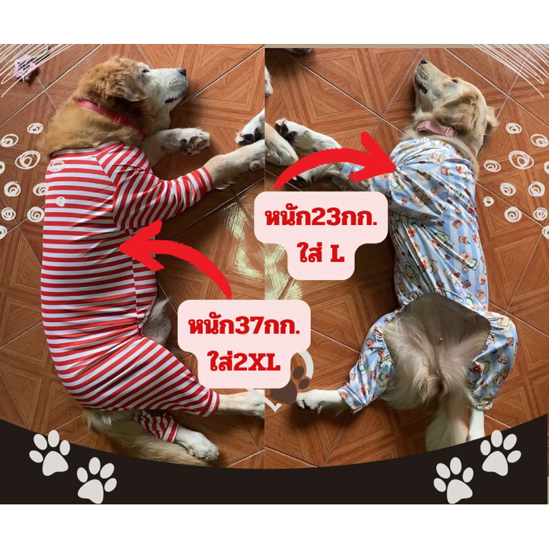 รูปภาพ 7