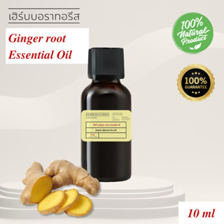 น้ำมันหอมระเหย รากขิง 100% Pure Ginger Root Essential oil - …